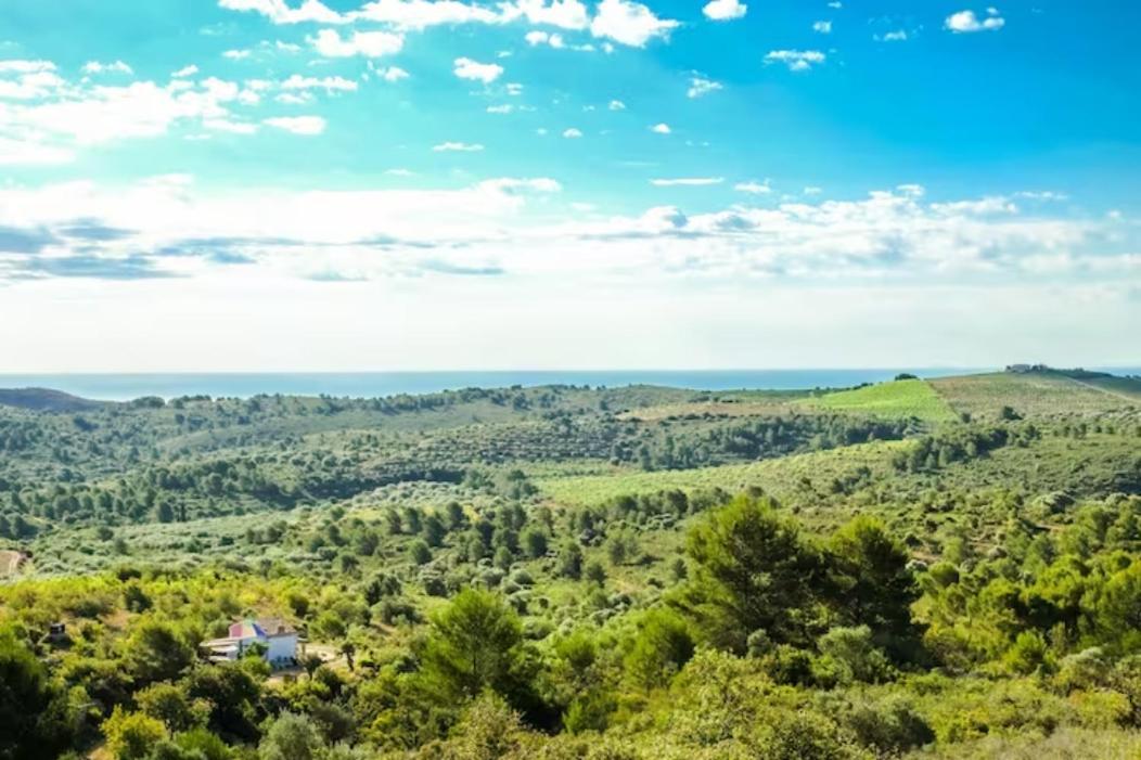 Lodge Farmsky 1 Double Or Single Bedroom At Wild Spirit Eco Farm Villanueva d'Alcolea
